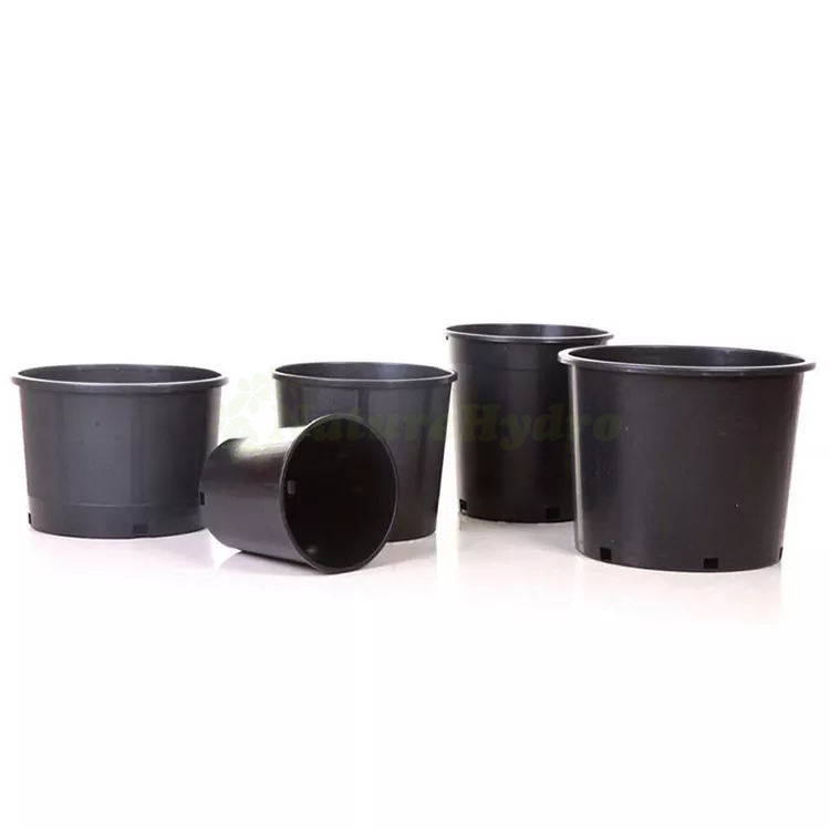 Black Plastic Flower Nursery Gallon Pot Featured Image