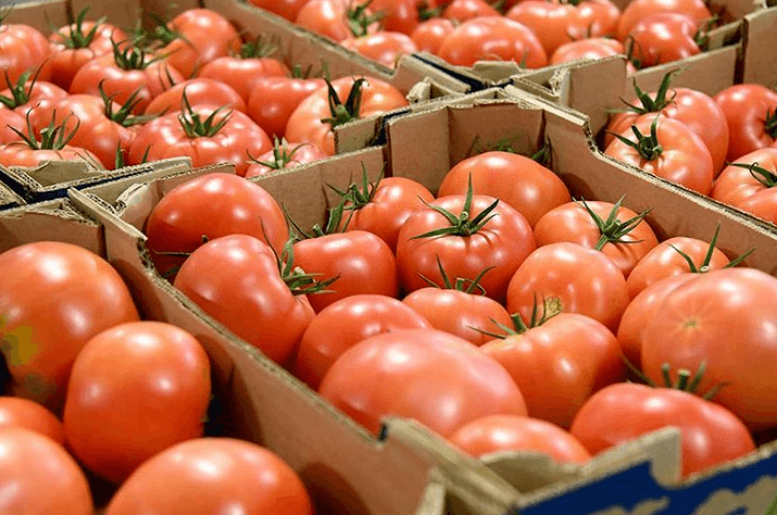 Morocco bans export of tomatoes and other selected vegetables to Spain