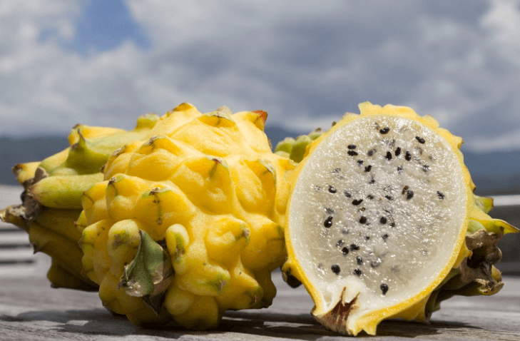The first batch of unicorn fruits from Ecuador will be exported to China soon