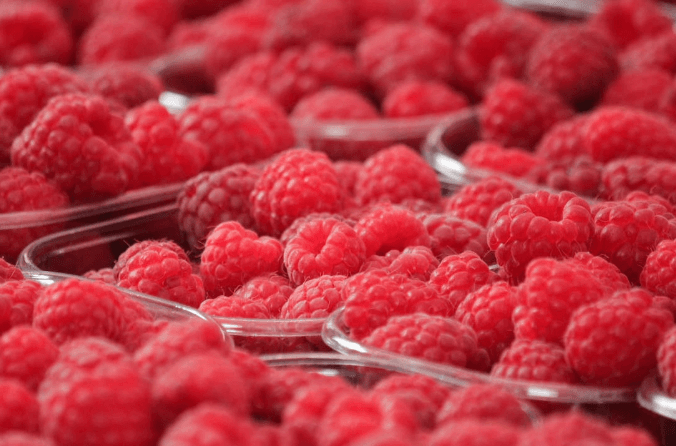 How To Grow Big Raspberries