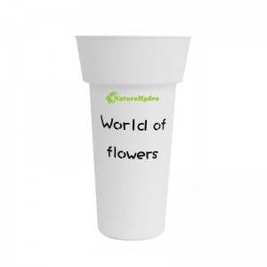 Wholesale Plastic Waking Flower Bucket