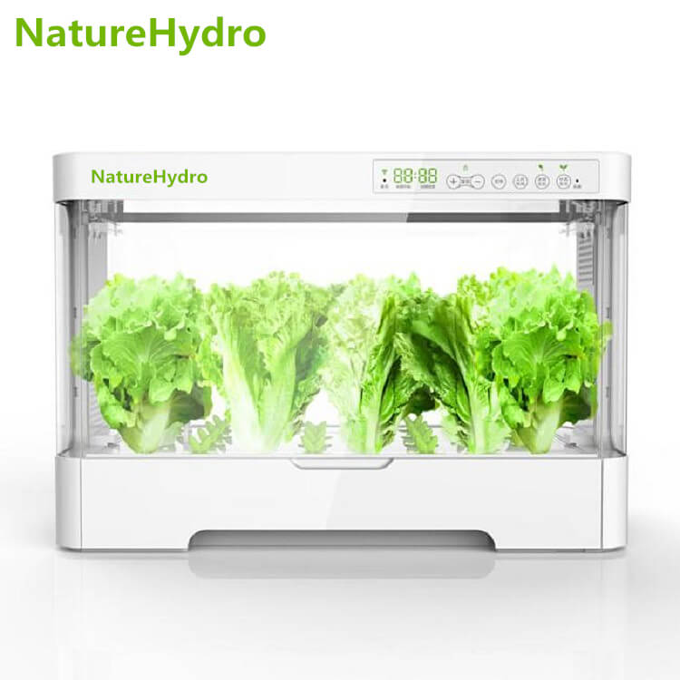 indoor hydroponics grow kit