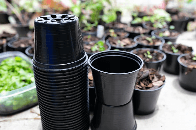 Plastic Plant Pots in Commercial Growing: Advantages and Applications