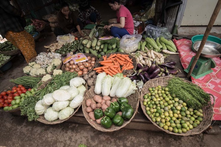 Cambodia releases 2030 roadmap for food system development
