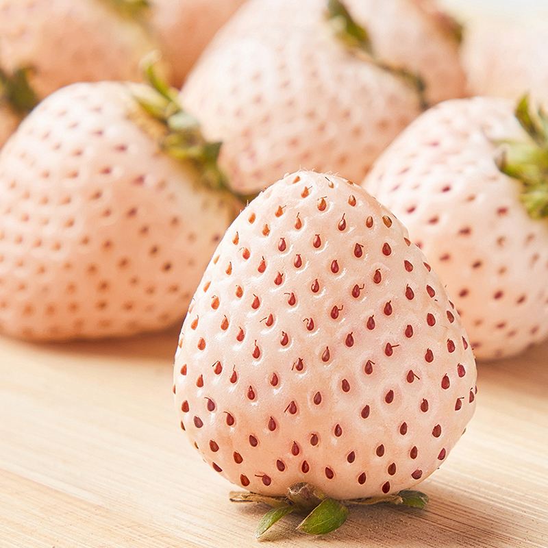 Limited launch of high-quality brand varieties of strawberry seeds in Japan