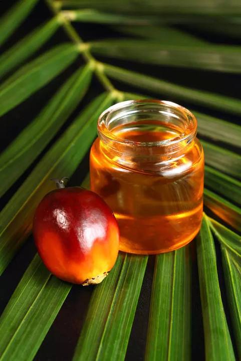 Palm oil giants say the sky high price of palm oil could undermine demand