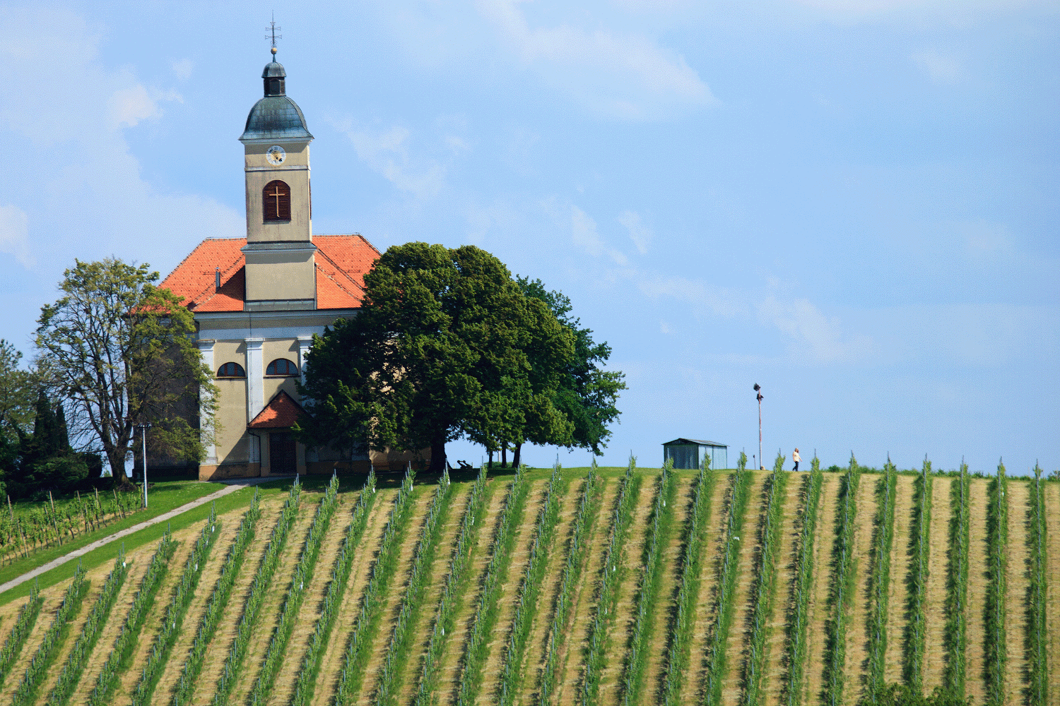Slovenia’s agricultural prices rose by an average of 20% in October