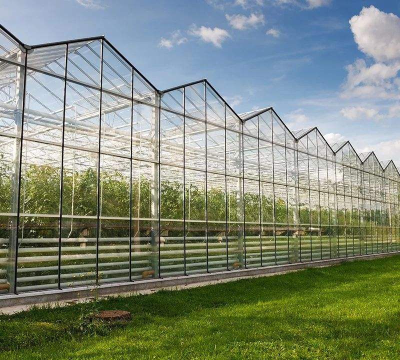 How to achieve the best economic benefit in greenhouse planting