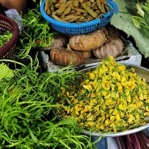 International institutions will help Cambodia develop agricultural products processing industry