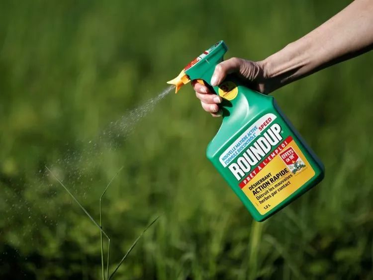 EPA issues Interim decision on herbicide paraquat dichloride