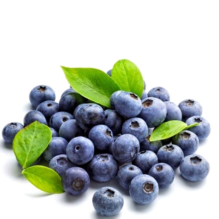 Chile’s blueberry exports increase this quarter