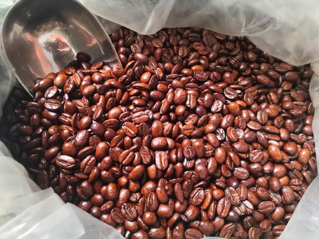 Karai province of Vietnam is committed to increasing the output value of coffee