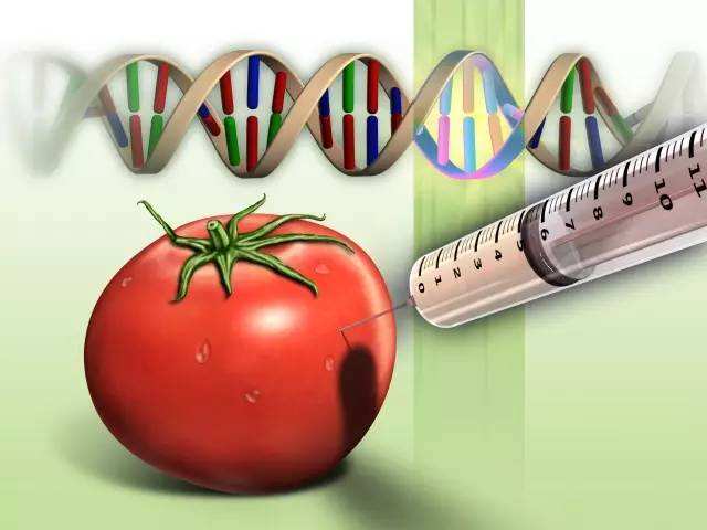 USDA implements new labeling regulations for genetically modified foods