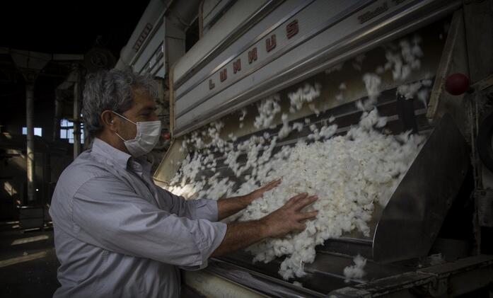 Iran’s cotton production decreased and import demand increased