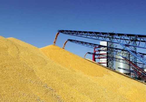 Ukraine’s grain harvest may reach a new high in 2021