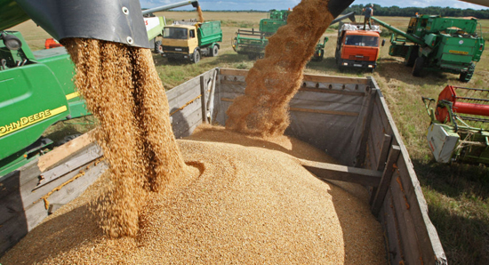 Russian agricultural export development center: China leads the trend of global grain market