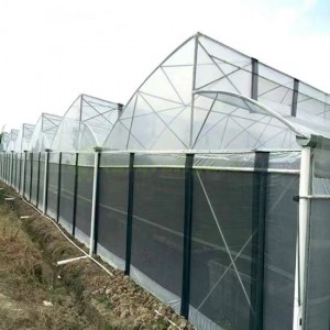 Commercial Tropical Sawtooth Greenhouse