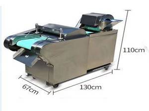 FX-1000 All-purpose Vegetable Cutter
