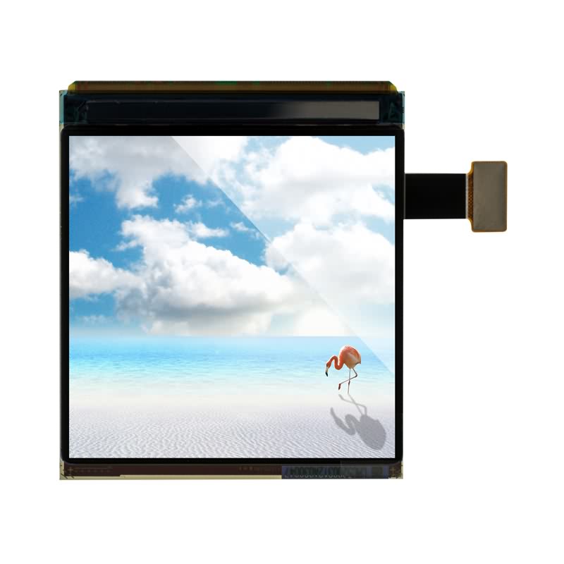 square wearable display 1.63 inchi LCD chophimba ndi mipi mawonekedwe
