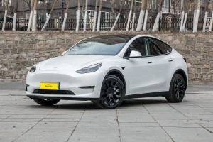 Tesla Model Y Mobil SUV Listrik Harga Kompetitif Rendah Kendaraan AWD 4WD EV Pabrik China Dijual