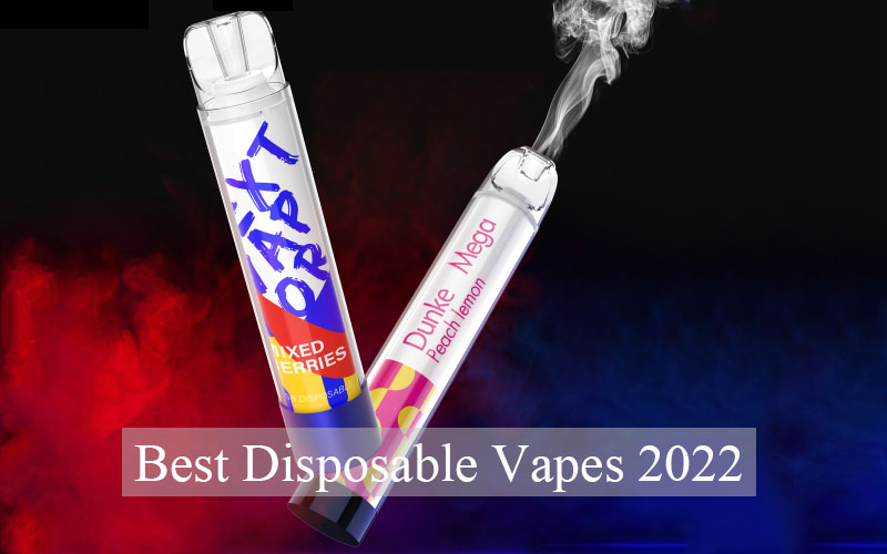 Best Disposable Vapes 2022