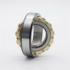 20248 Single Row Spherical Roller Bearing China Factory