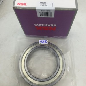 6024ZZE NSK Deep Groove Ball Bearing Original Rulman Rodamientos Price