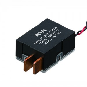 100A Magnetic Latching Relays-NRL715B