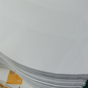 Best-Selling Coffee Paper Cup Fan Raw Material for Paper Cup