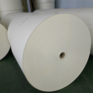 Fixed Competitive Price Single Wall Modern Quantity Assured Paper Cup Fan Coated PE