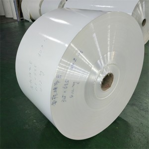 High quality Double Side PE Coated Cup Paper Roll