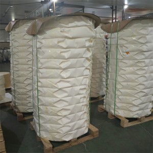 Professional Factory for White DuPont Waterproof Tyvek 1443r Fabric Raw Material with Roll