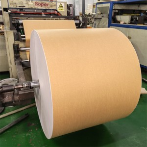 Kraft single pe coated paper roll for paper cups