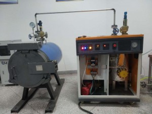 High Temperature Steam Reactor for essential oils