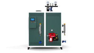 0.6 Gas Steam Boiler for Hotel Hot Water