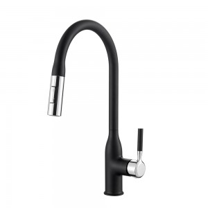 Single Handle Kitchen Sink Faucet with Pull Out Sprayer Stainless Steel Faucet