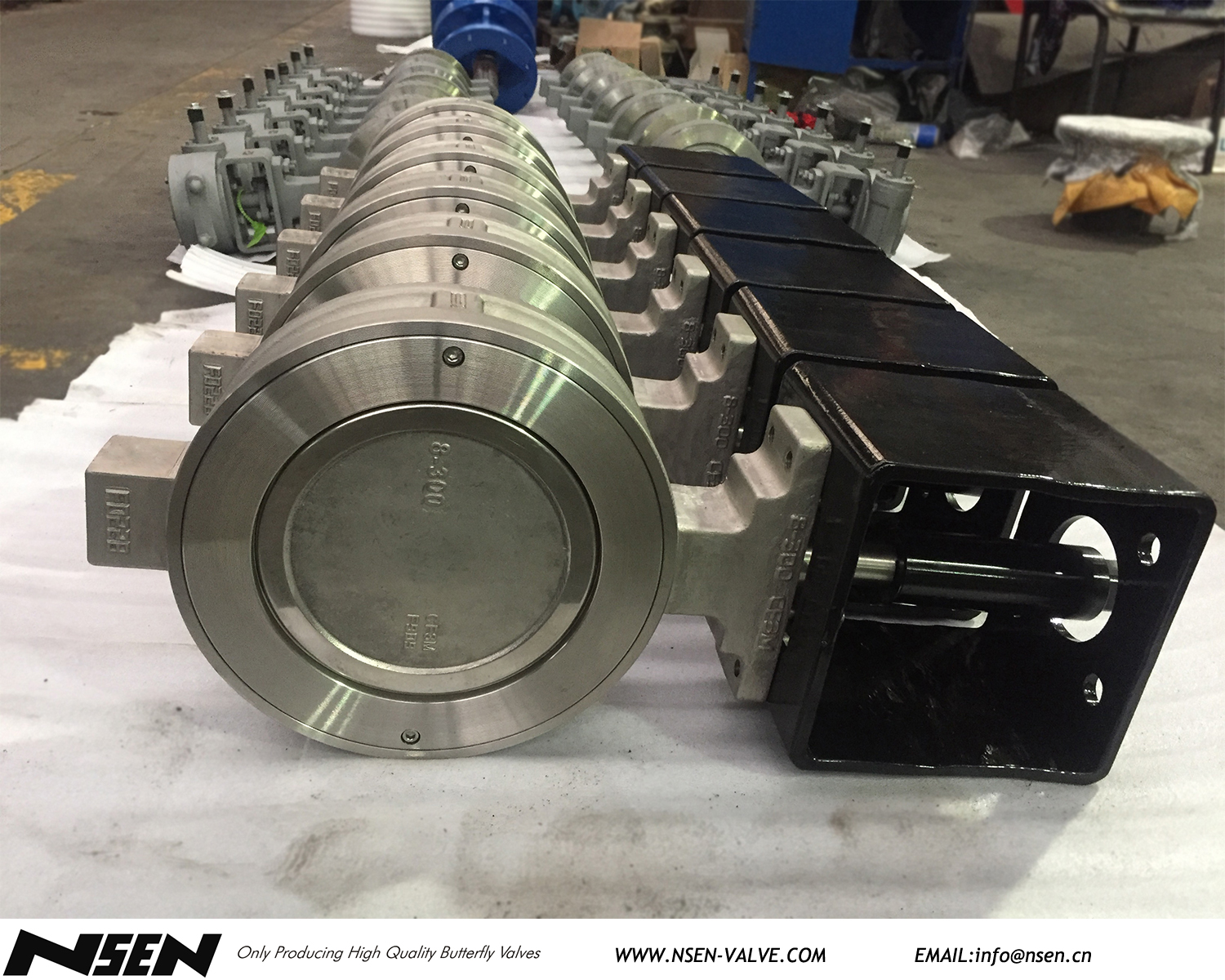 Taas nga performance double eccentric butterfly valve