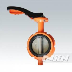 Removable Resilient Butterfly Valve