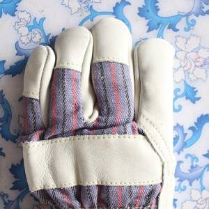 Lage temperatuurbestendige handschoenen Koude en vloeibare stikstofbestendige leren handschoenen Outdoor vissersboten Antivrieshandschoenen