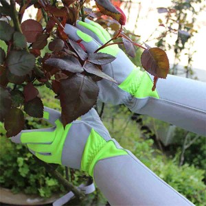 Salus Professional Rose Pruning Thorn Resistant Gardening Gloves with Long Veste Protection for Women Punctura Repugnans
