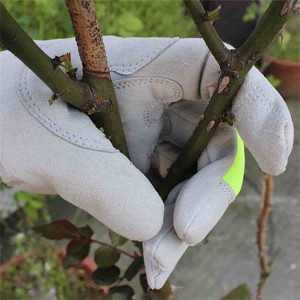 Säkerhet Professionell rosbeskärning Taggbeständiga trädgårdshandskar med långa underarmsskydd för kvinnor punkteringsbeständiga
