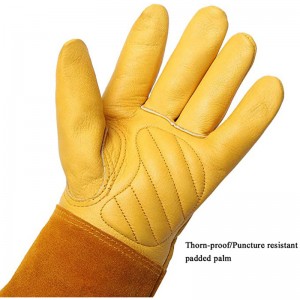Garden Hand Protection Leather Thorn Resistant Gardening Work Glove