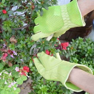 အမျိုးသမီးများအတွက် 3D Mesh Comfort Fit Pigskin Leather Gardening Gloves