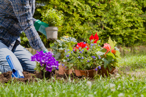 Gelecek bahar bahçesi için iyi bir alet eldiveni seçin.
