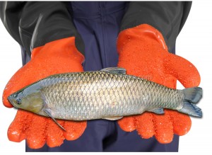 70 cm langermet PVC anti-skli hanske Vanntette fiskerensehansker Syre- og alkalibestandige hansker