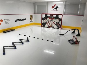 Synthetic Ice Skating Rink