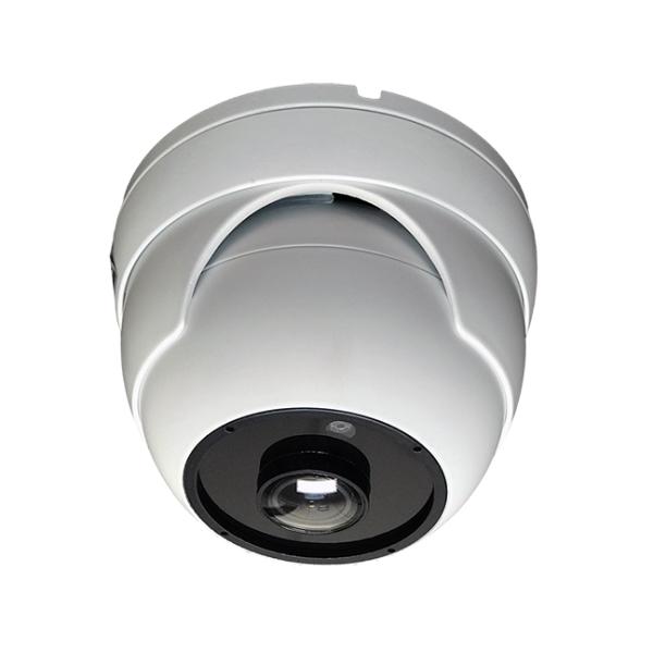 ¿Qué es la cámara CCTV ojo de pez? ¿Cuáles son las ventajas y desventajas de las lentes ojo de pez en el uso de seguridad y vigilancia? ¿Cómo elegir una lente ojo de pez para cámaras CCTV?