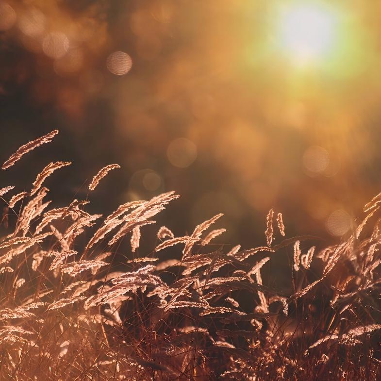 What Is Lens Flare? How To Avoid It?
