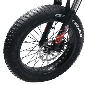 VB200 Wide Tire Foldable Assisting 20 inch Electric Bike
