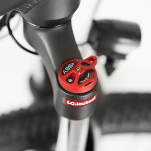 VKS6 29 düymlük Shimano 7 pilləli dağ elektrik velosipedi
